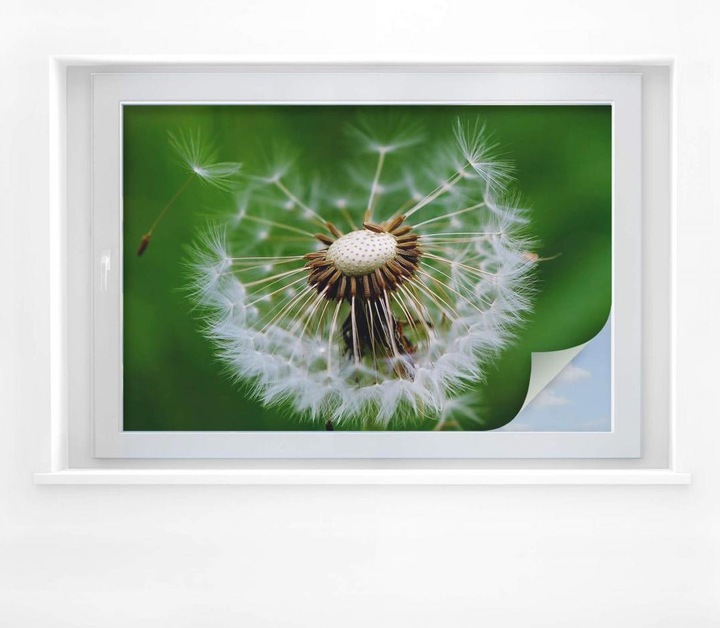 Image du produit Trenddeko Pissenlit dans le vent (100 x 70 cm)