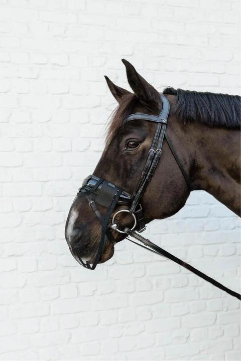 Produktbild Kentucky Horsewear Fliegenmaske für Pferde