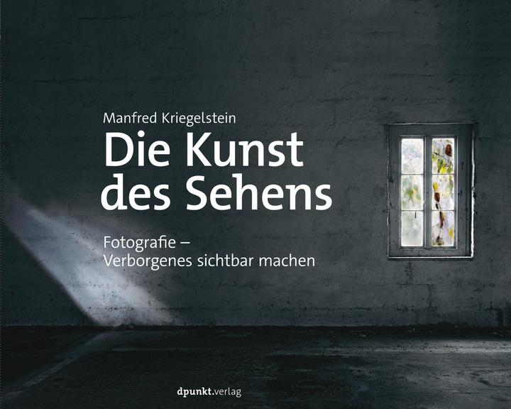Die Kunst des Sehens (Deutsch, Manfred Kriegelstein, 2017)