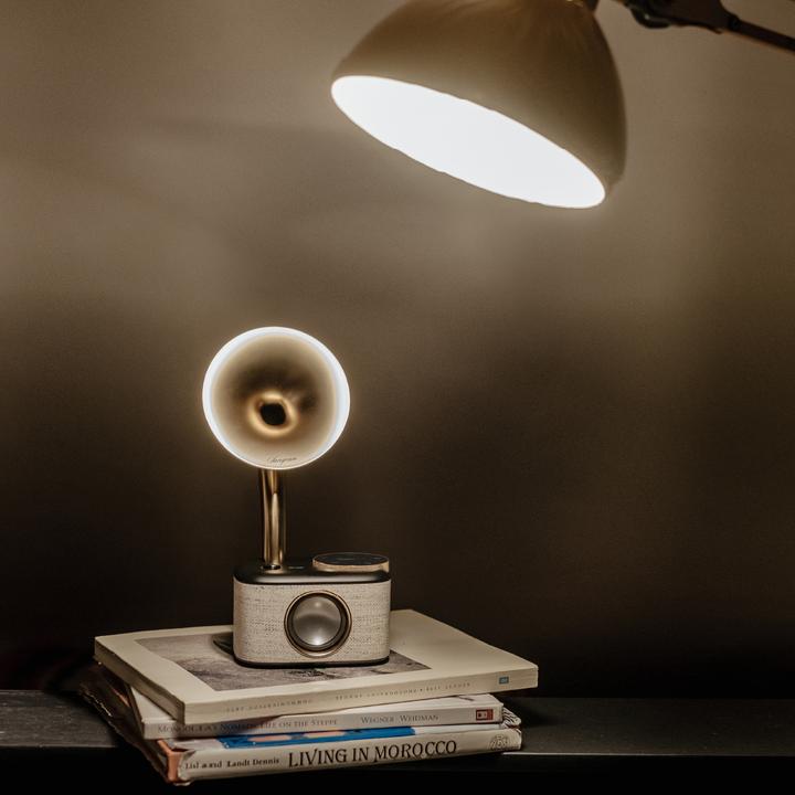 Image du produit Sangean CP 100D (DAB+ DAB, FM, Bluetooth)