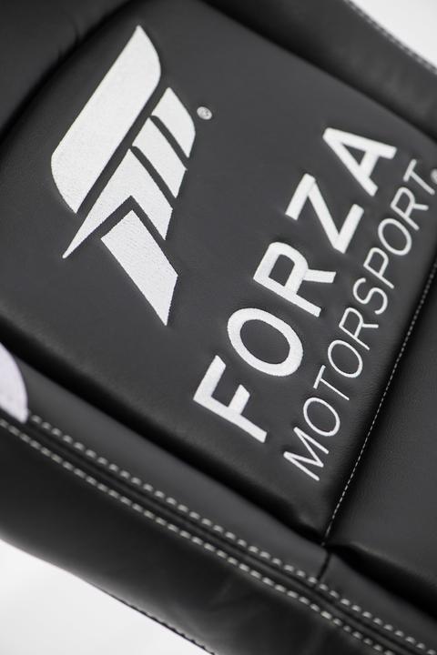 Actual product image Playseat Forza Motorsport