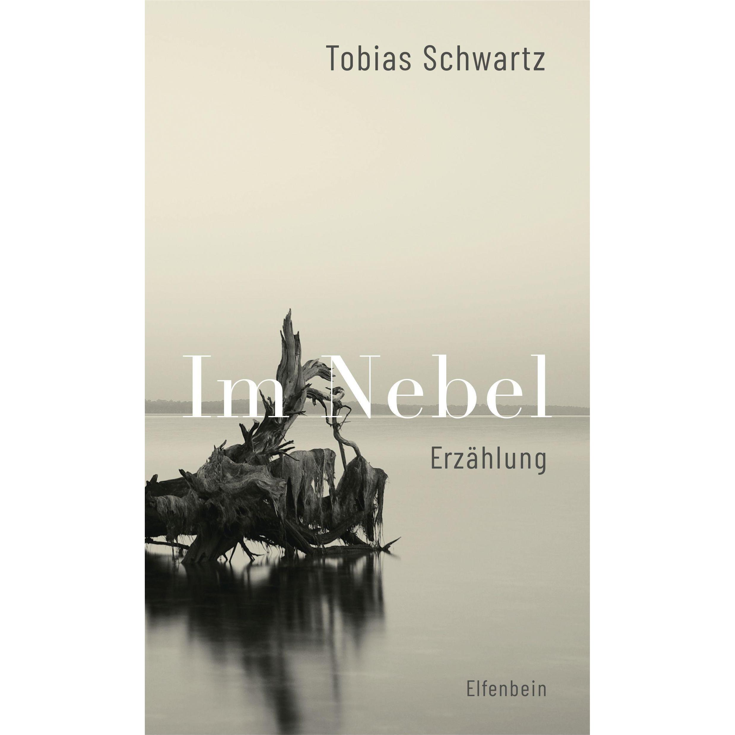 Im Nebel, Belletristik von Tobias Schwartz