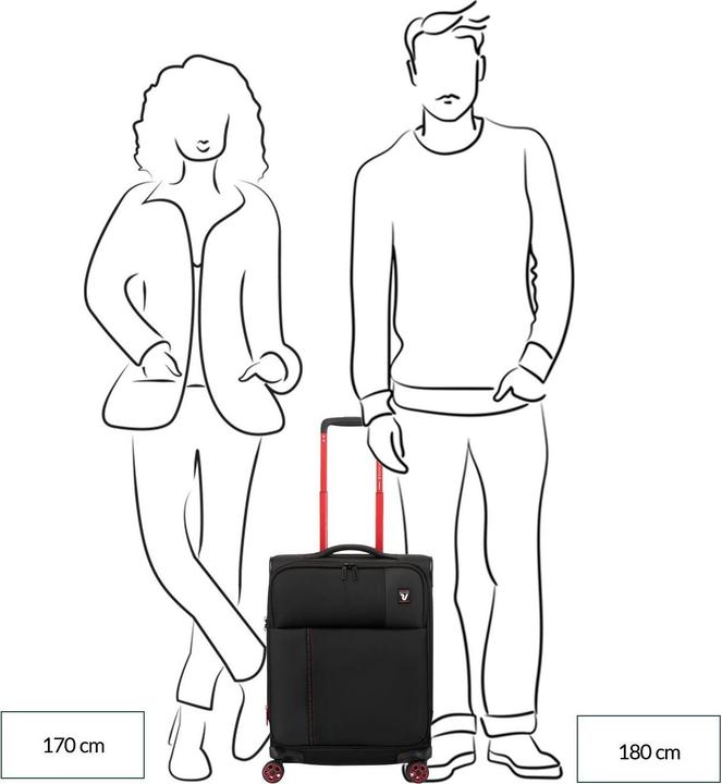 Image du produit Roncato Carrello per Cabina (40 l)