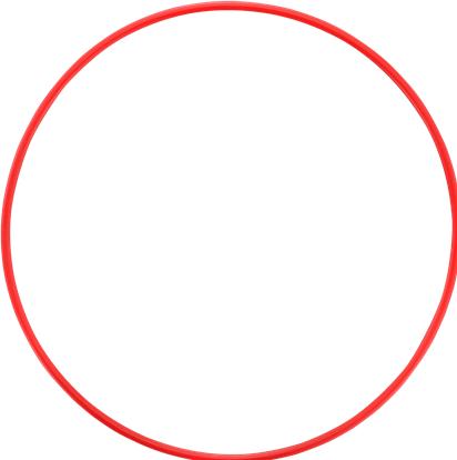 Immagine prodotto Olympus POL-058 O-ring per PT-058 (Custodia subacquea)