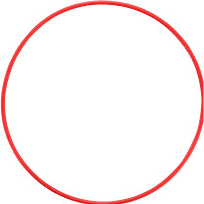 Thumbnail - Olympus POL-058 O-ring for PT-058 (Unterwassergehäuse, PT-058), Kameraschutz