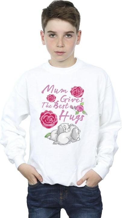 Image du produit Disney - Sweat LADY AND THE TRAMP MUM HUGS - Garçon (128)