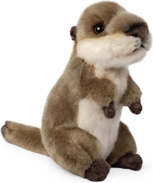 Actual product image Living Nature Otter Jungtier