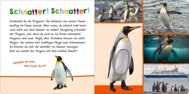 Immagine prodotto Hör mal rein, wer kann das sein? – Im Ozean (Tedesco)