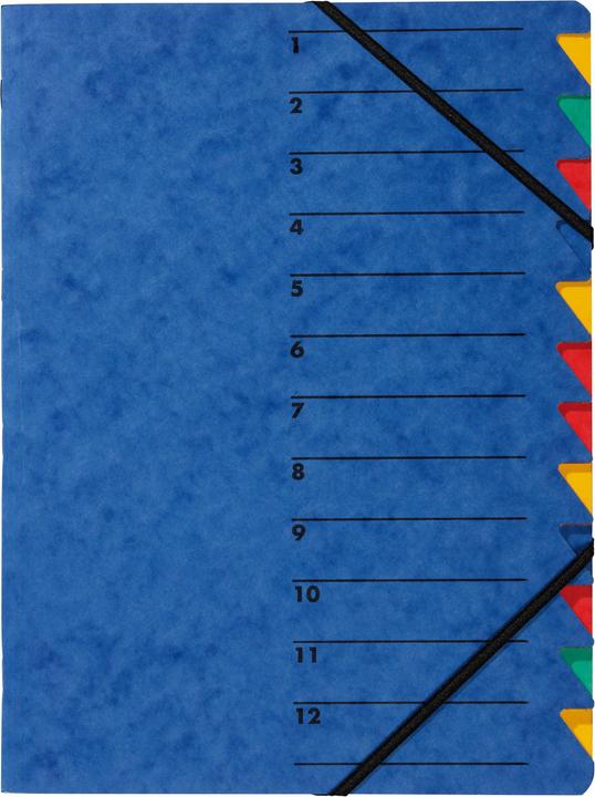 Produktbild Pagna Ordnungsmappen Easy (A4, 1 x)