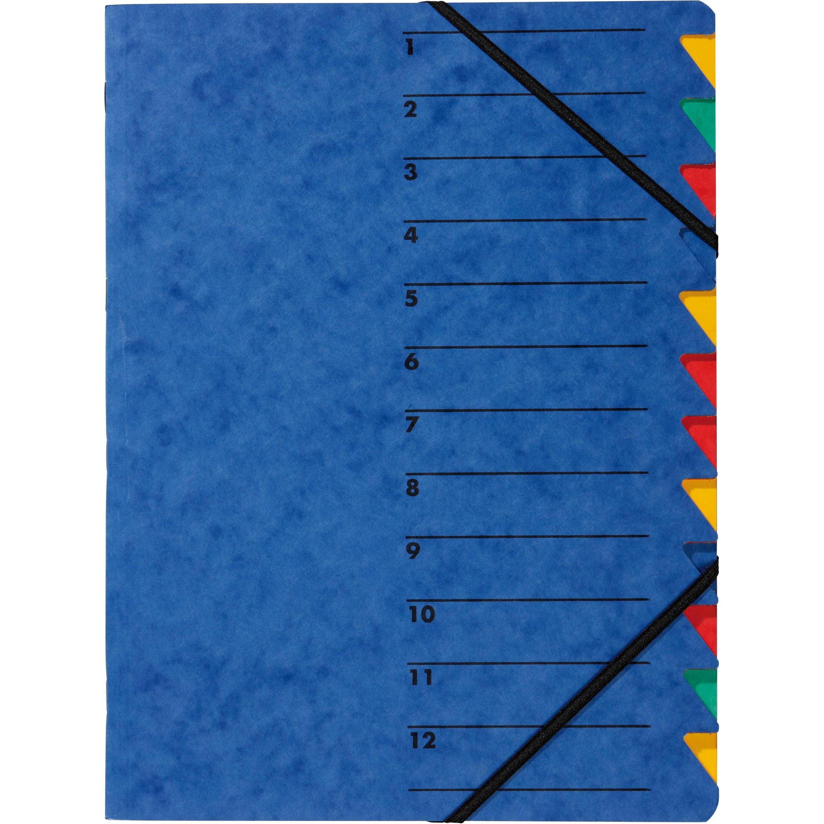 Pagna, Mappe, Ordnungsmappen Easy (A4, 1 x)