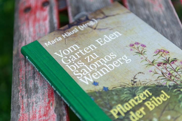 Produktbild Vom Garten Eden bis zu Salomos Weinberg (Deutsch, Maria Häusl, 2018)