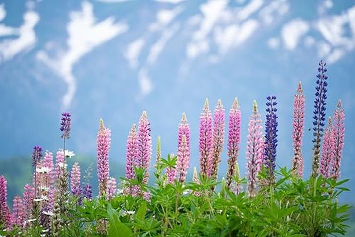 Actual product image Tamron AF 70-300mm F/4.5-6.3 Di III RXD Nikon Z (Nikon Z, full size)