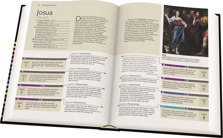 Produktbild Der Bibel-Guide (Deutsch, Nikolaus de Palezieux, 2017)