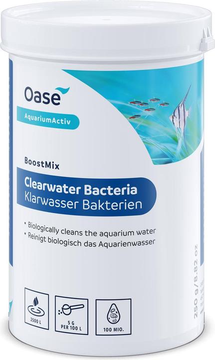 Entretien de l'aquarium