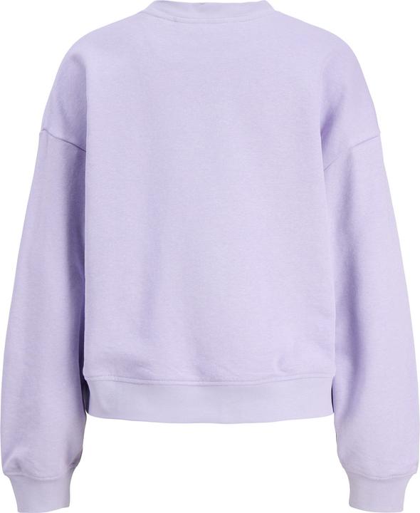 Produktbild JJXX Jxalfa Rlx Ls Crew Swt Sn (L)