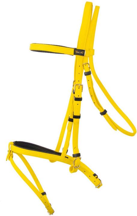 Immagine prodotto TdeT Biotack®