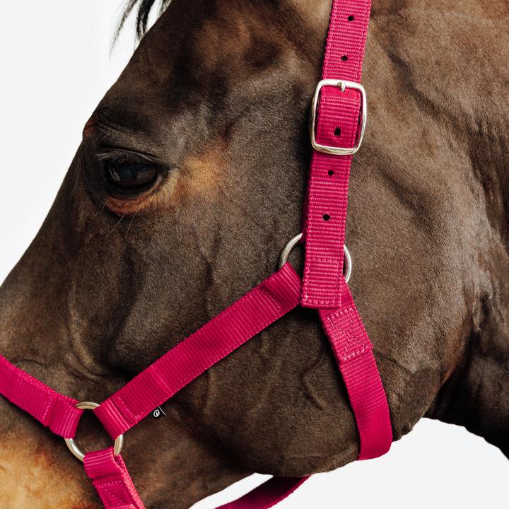 Produktbild Fouganza Halfter Schooling rot