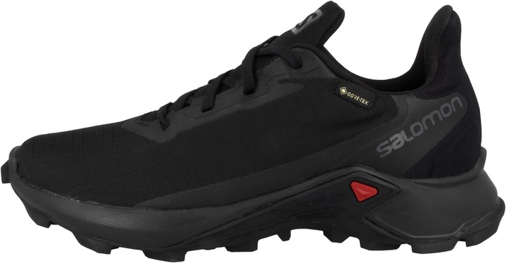 Actual product image Salomon Alphacross 3 Gtx (38)