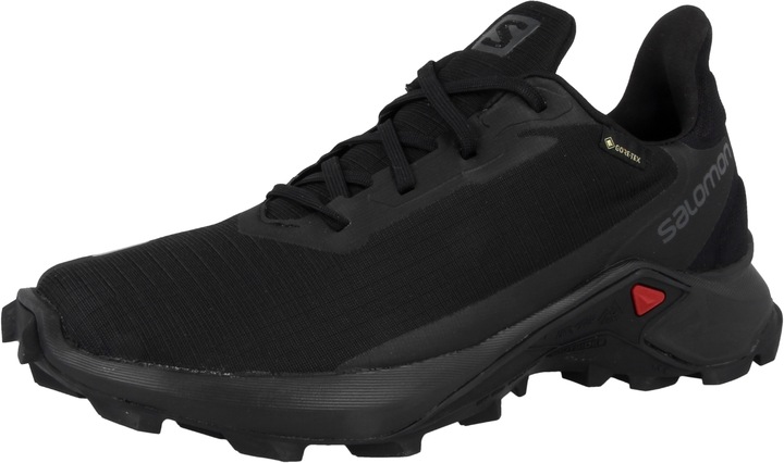 Actual product image Salomon Alphacross 3 Gtx (38)