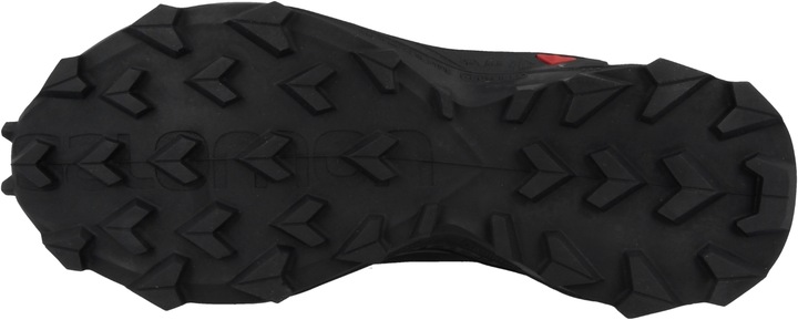 Actual product image Salomon Alphacross 3 Gtx (38)
