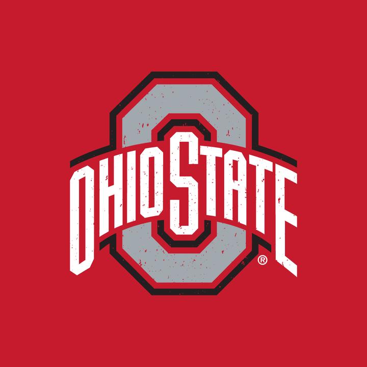 Image du produit Park Fields - Sweat à capuche - Adulte (L)