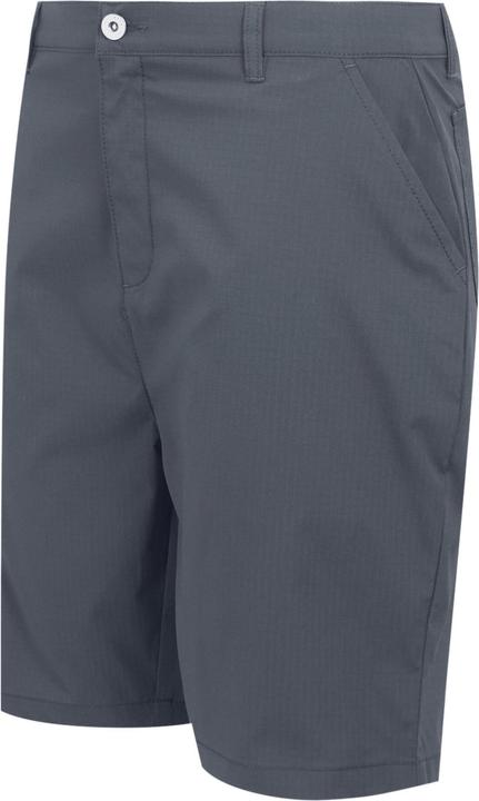 Actual product image Regatta Mens Dalry Multi Pocket Shorts (33)