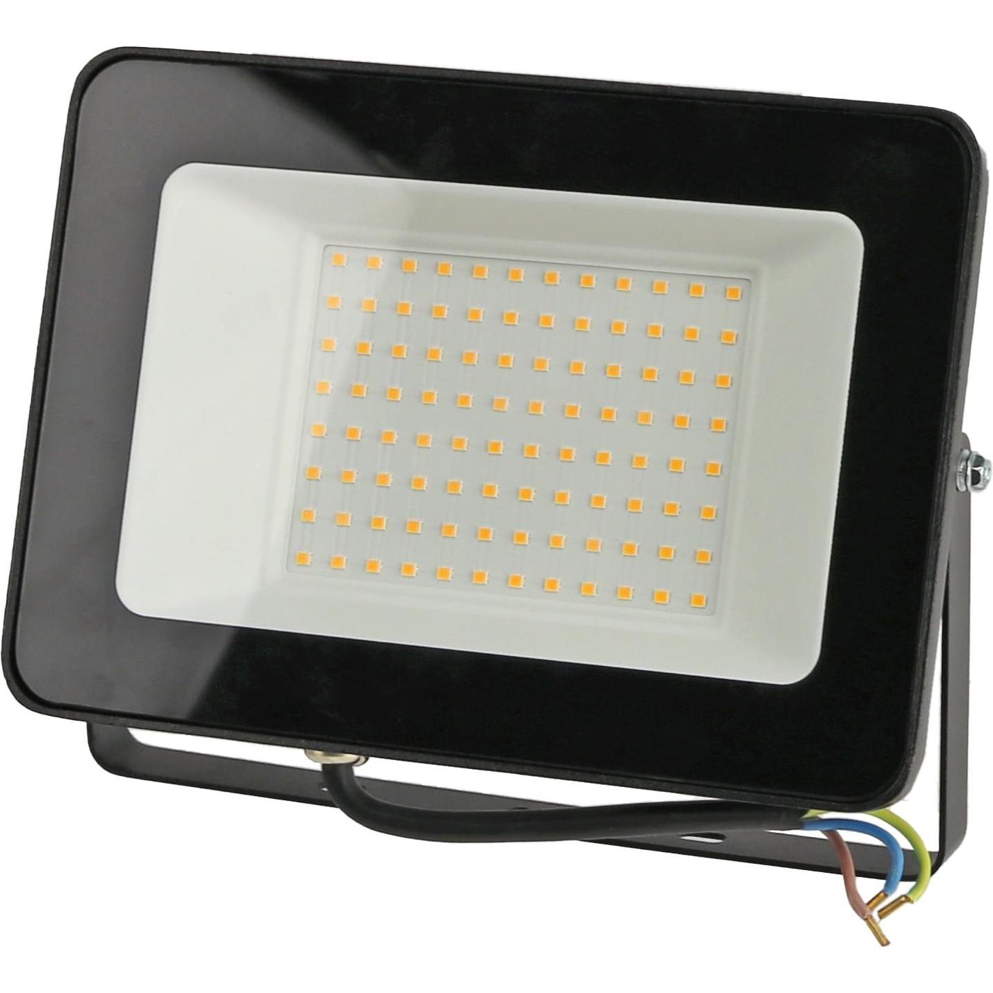 DayLite, Fassadenbeleuchtung, LED-Fluter LF100WW, EEK: F, 100 W, 11000 lm, 3000 K, warmweiss (11000 lm)