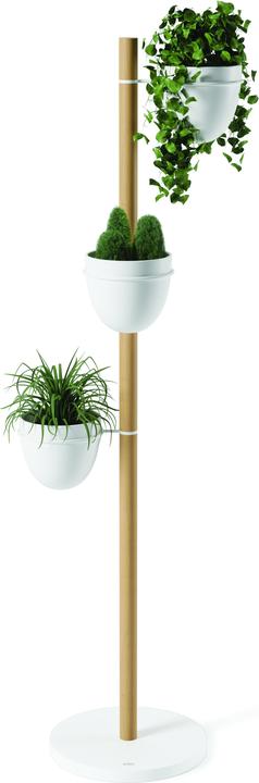 Immagine prodotto Umbra Stand Fiorista