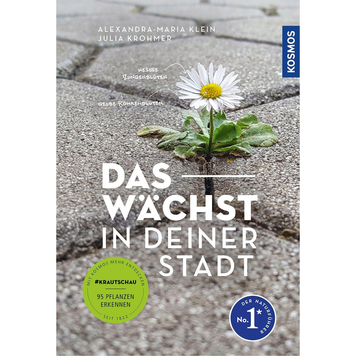 Das wächst in deiner Stadt, Fachbücher von Julia Krohmer, Alexandra-Maria Klein