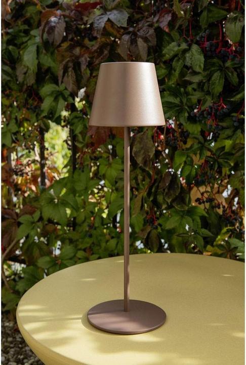 Actual product image STT Luna