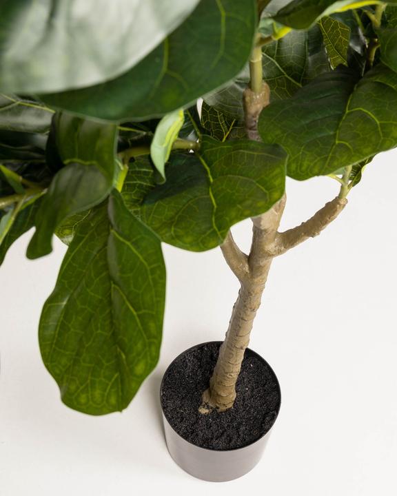 Image du produit Kave Home Ficus (150 cm)