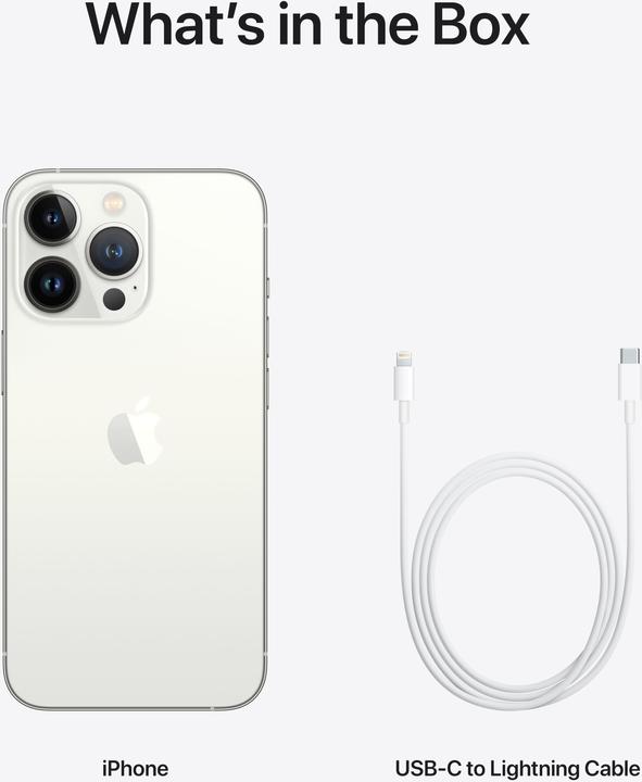 Produktbild Apple iPhone 13 Pro (256 GB, Silver, 6.10", SIM + eSIM, 12 Mpx, 5G)