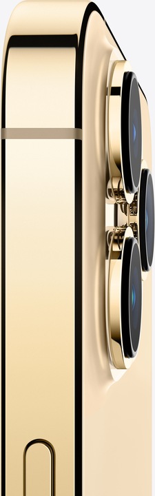 Immagine prodotto Apple iPhone 13 Pro Max (1000 GB, Oro, 6.70", SIM + eSIM, 12 Mpx, 5G)
