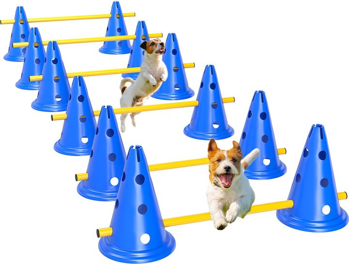 PawHut Agility Set Hunde Kunststoff Blau (Destrezza)