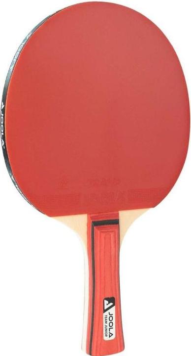 Actual product image Joola Junior-Team-Table-Tennis-Sample