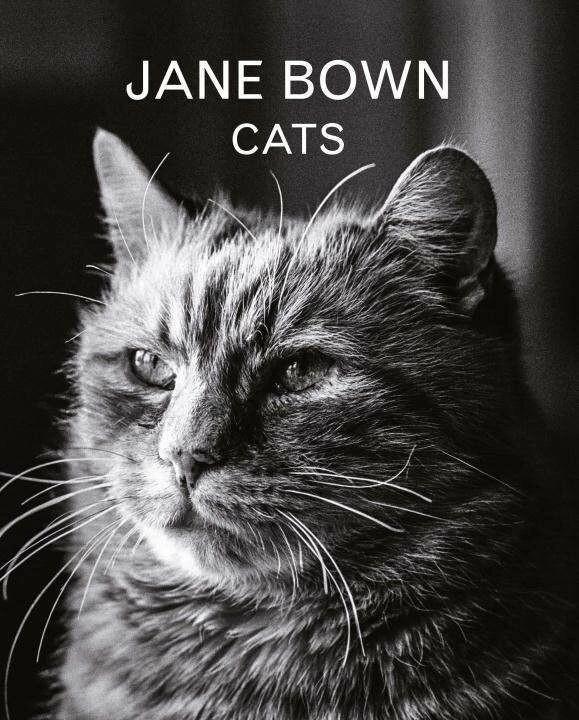 Image du produit Jane Bown : Cats (Anglais, Jane Bown, 2016)