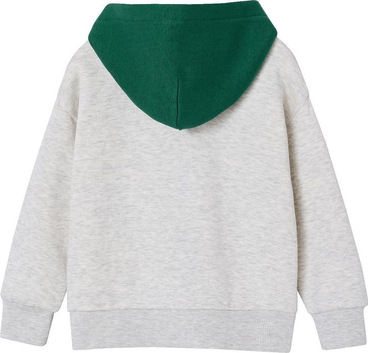 Produktbild Vertbaudet Kapuzensweatjacke Jungen (152)