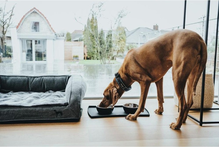Actual product image Hunter Food bowl base, black S - (64503)