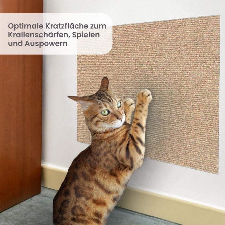 Actual product image Hermex Kratzmatte für Katzen Klettermatte Kratzschutz Kratzbrett Kratzwand (200 cm, Beige)