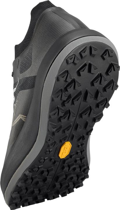 Actual product image Arc'teryx Sylan Pro (42)
