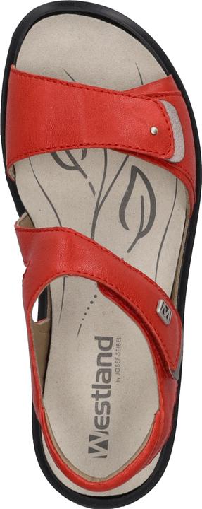 Actual product image Westland 25901-644 (38)