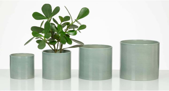 Produktbild Scheurich Sage Green 828 (16 x 15 cm)