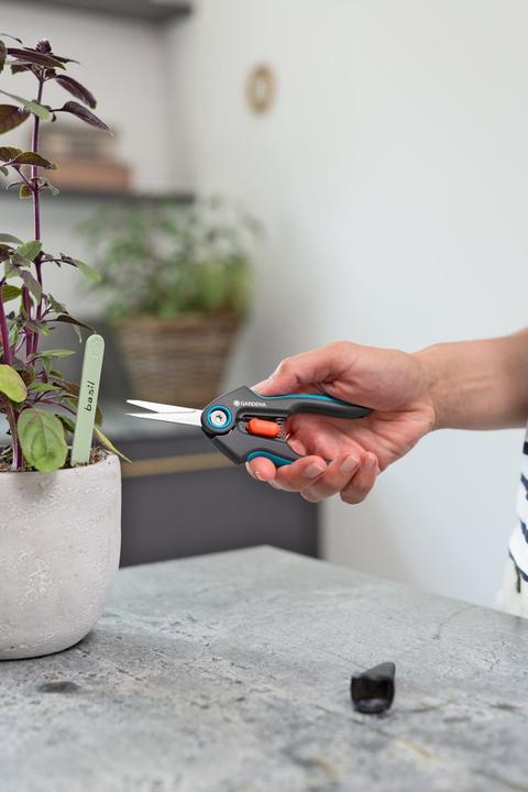 Actual product image Gardena FreshCut-Set