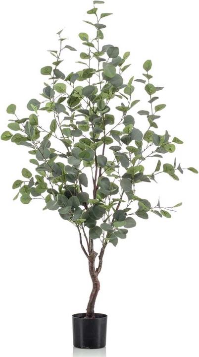 Emerald Merna (120 cm)
