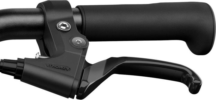 Actual product image woom Go 4 (20")