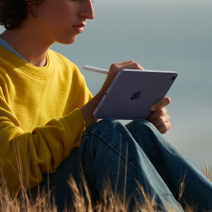 Productafbeelding Apple iPad mini 2021 (6e generatie) (5G, 8.30", 256 GB, Ruimte grijs)