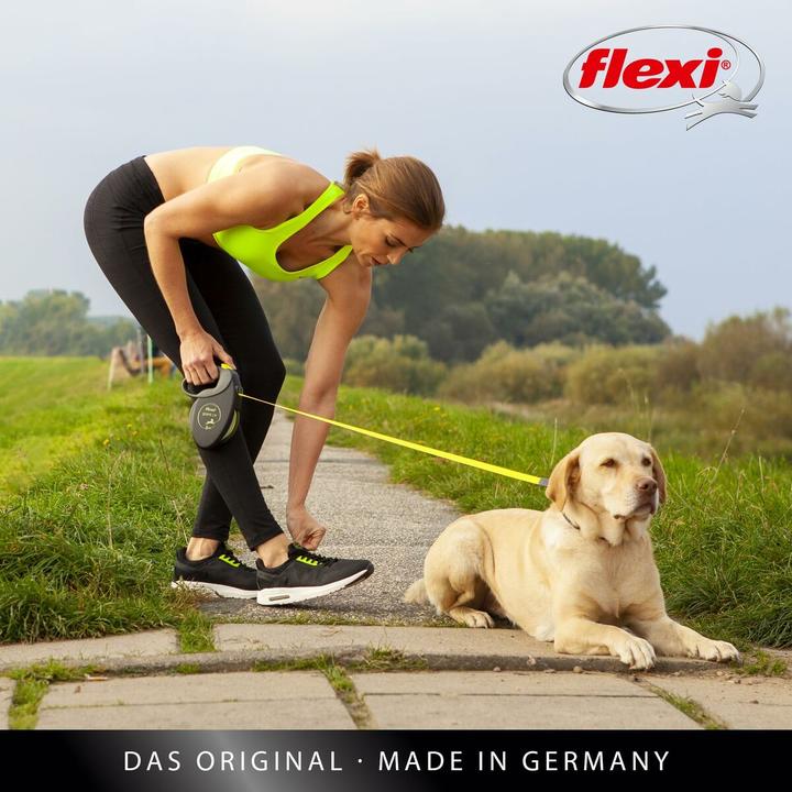 Actual product image Flexi Giant (Dog, General, Walks)