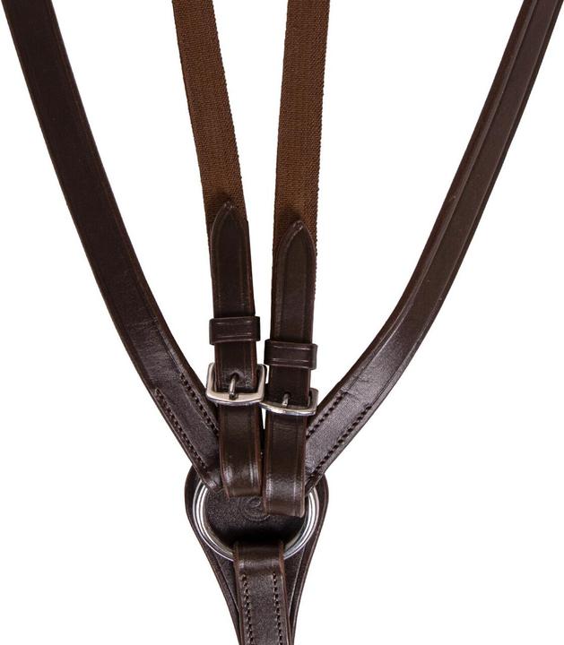 Image du produit Qhp collier de chasse pour cheval basic pro