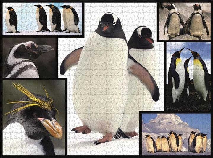 Image du produit Merchant Ambassador Puzzle 1000 pingouins (1000 pièces)