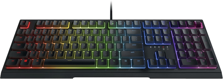 Image du produit Razer Ornata V2 (CH, Filaire)